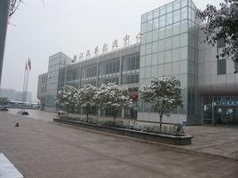 墊江汽車客運中心站 墊江汽車客運中心站