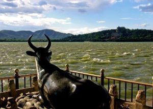 頤和園銅牛 頤和園銅牛