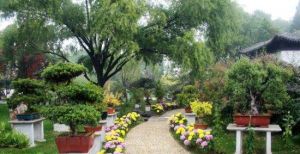 天然盆景園 天然盆景園