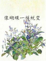像蝴蝶一樣蛻變 像蝴蝶一樣蛻變