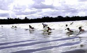 “南亞馬遜河河口高潮”的名字來源於當地圖皮人的土著語