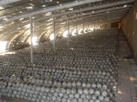 山西山寶食用菌生物有限公司 山西山寶食用菌生物有限公司