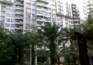 建設小區 建設小區