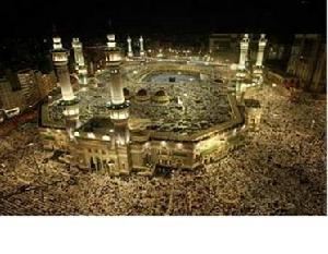 沙特阿卜杜拉國王國際花園