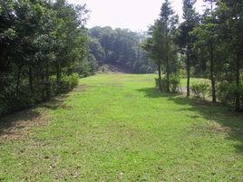 東村林場 東村林場