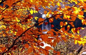 淨月潭風景名勝區