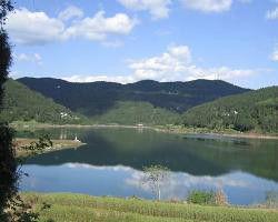 三岔河釣魚村 三岔河釣魚村