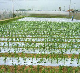 農用薄膜 農用薄膜