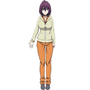 時空使徒[中日合作改編的電視動畫]