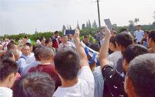 中國農業科學院柑桔研究所、西南等地專家技師現場參觀指導