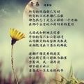 《青春詩》