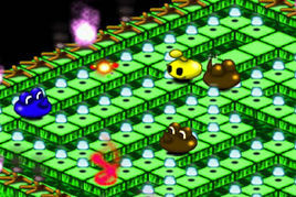 火焰小毛豆 火焰小毛豆