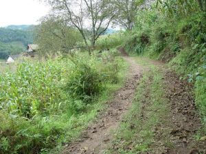 大坪坦自然村 大坪坦自然村