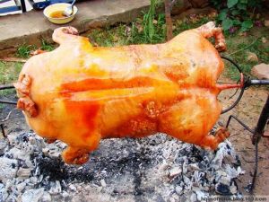 叉烤乳豬