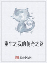 重生之我的傳奇之路 重生之我的傳奇之路
