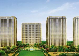 玉蘭花園 玉蘭花園