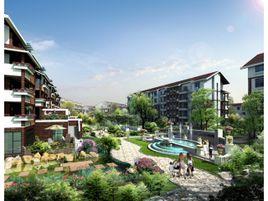 香醇波爾多 香醇波爾多