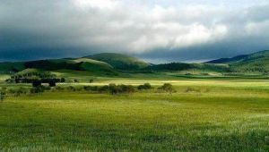 中都草原 中都草原