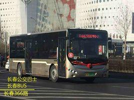 長春公交366路 長春公交366路
