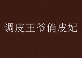 調皮王爺俏皮妃 調皮王爺俏皮妃