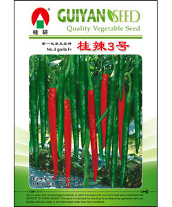 桂辣3號
