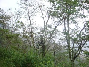 南尼壩村 南尼壩村