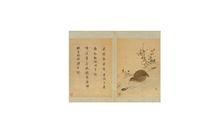 韓希孟宋元名跡冊&middot;鶉鳥圖