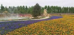 交城瑞景苑立體花卉大觀園