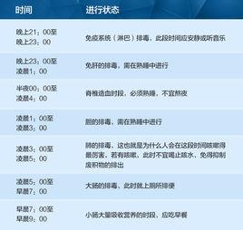 身體各器官工作時間表 身體各器官工作時間表