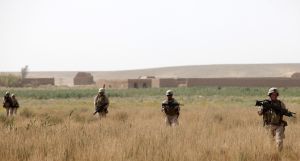 赫爾曼德省 赫爾曼德省