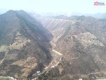 槐樹林特場圖片