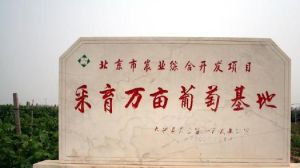 采育葡萄觀光園 采育葡萄觀光園