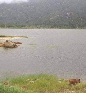 頂溪水庫 頂溪水庫
