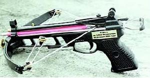 “眼鏡蛇”手槍式弩