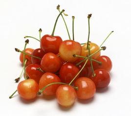 黃蜜大櫻桃 黃蜜大櫻桃