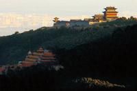 烏金山森林公園 烏金山森林公園