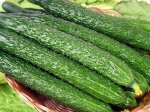 西紅柿攔黃瓜 西紅柿攔黃瓜