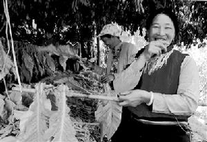 （圖）六合彝族鄉