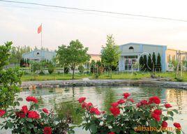 方村鎮[河北省欒城縣下轄鎮]