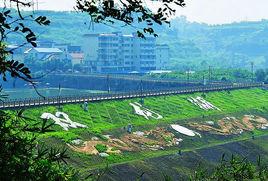 雙龍湖風景名勝區 雙龍湖風景名勝區