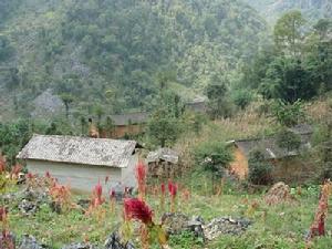 毛拜自然村 毛拜自然村