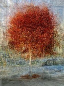 印象派攝影 印象派攝影