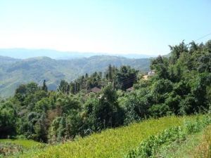 銀廠河村 銀廠河村