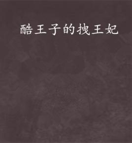 酷王子的拽王妃 酷王子的拽王妃