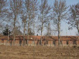 沙溝村[山東省平度市長樂鎮沙溝村]