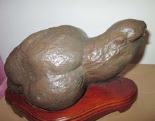 賣萌大海龜-象形石