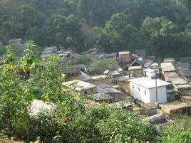 河堤村[雲南元陽縣黃草嶺鄉下轄村]