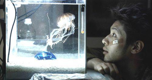 回光[日本2003年黑澤清導演電影]