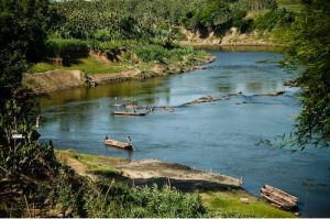 《梭羅河》 《梭羅河》