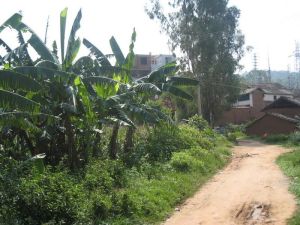 教昌壩村 教昌壩村